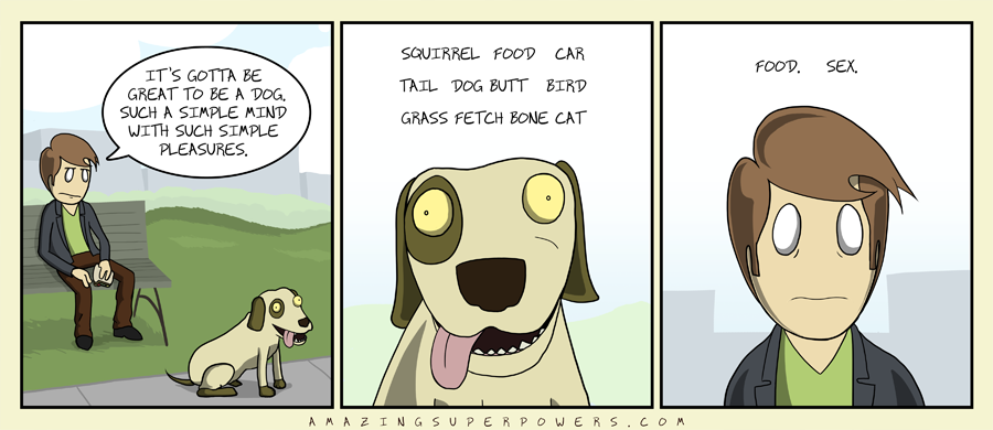 Dog Park